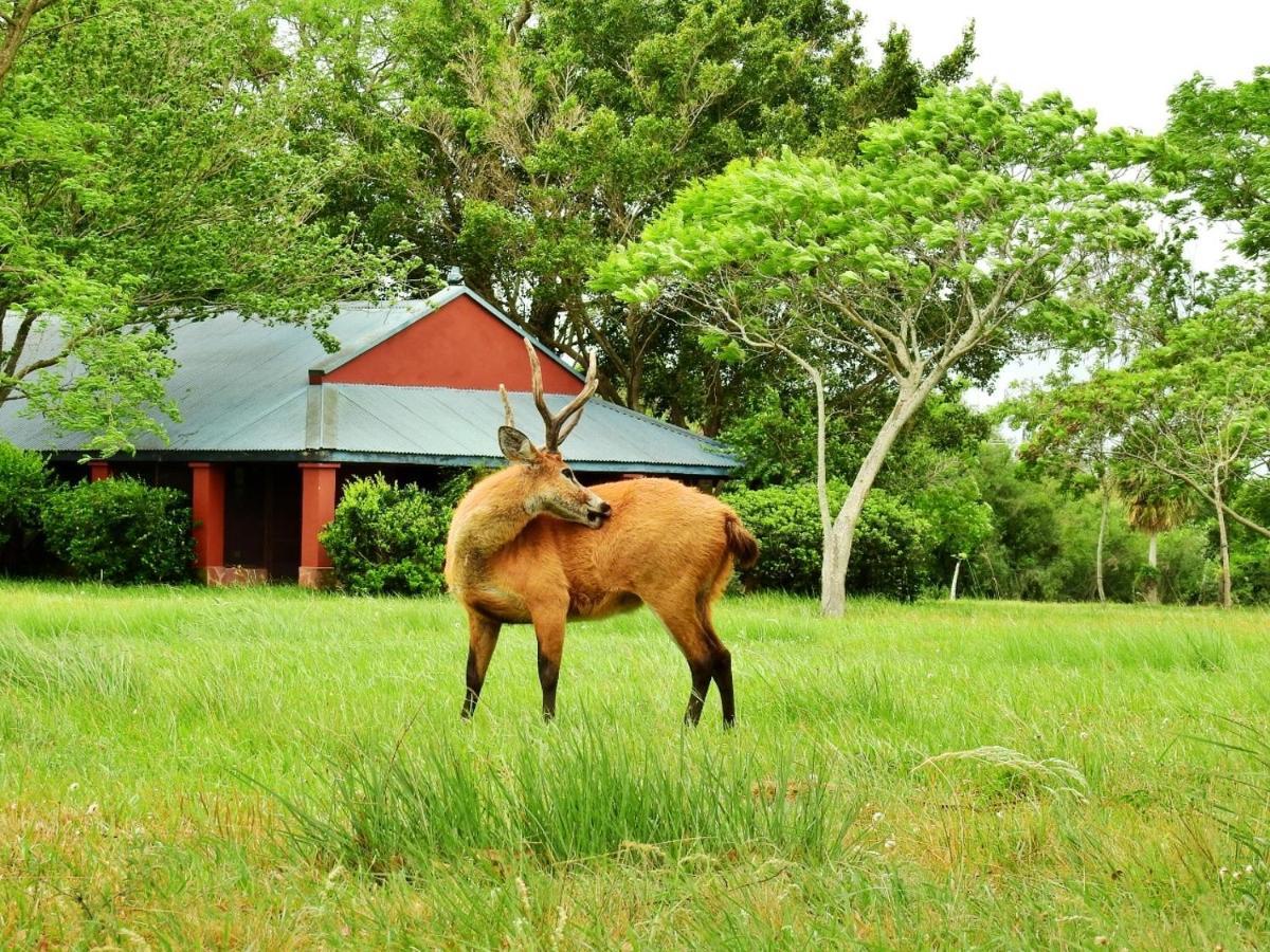 Estancia Ibera Colonia Carlos Pellegrini  Eksteriør billede